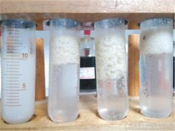污水处理剂的种类和具体介绍